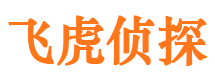 兴海市侦探公司